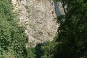 Sfoglia la galleria