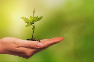 Progetto compostaggio domestico