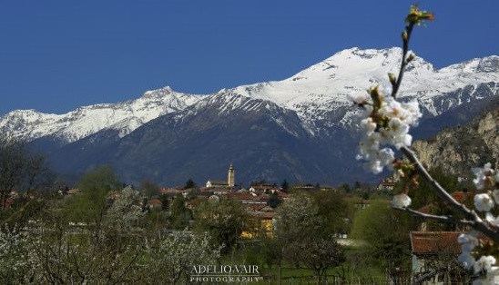 Foresto con sfondo il Moncenisio